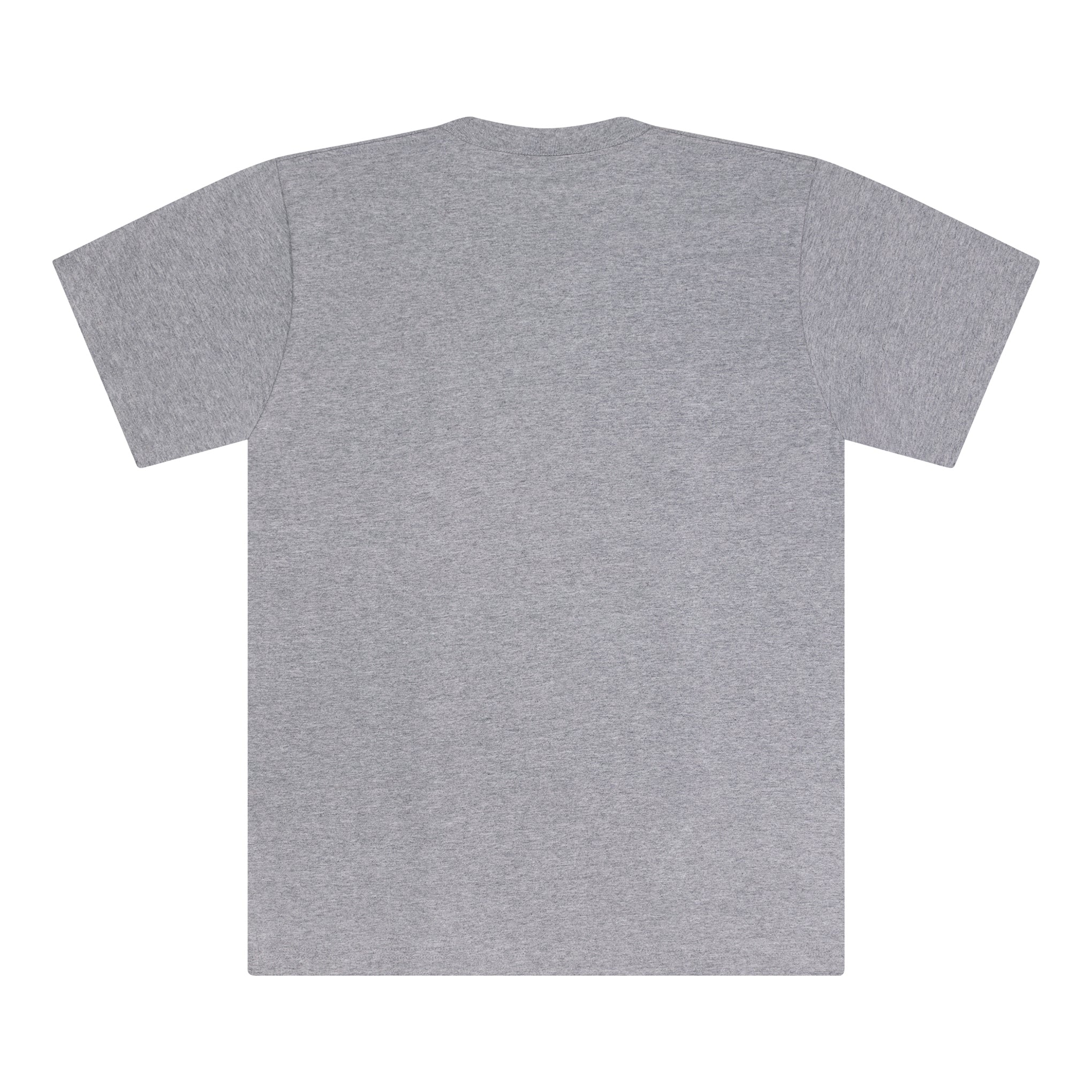 SUPREME NAS TEE GREY