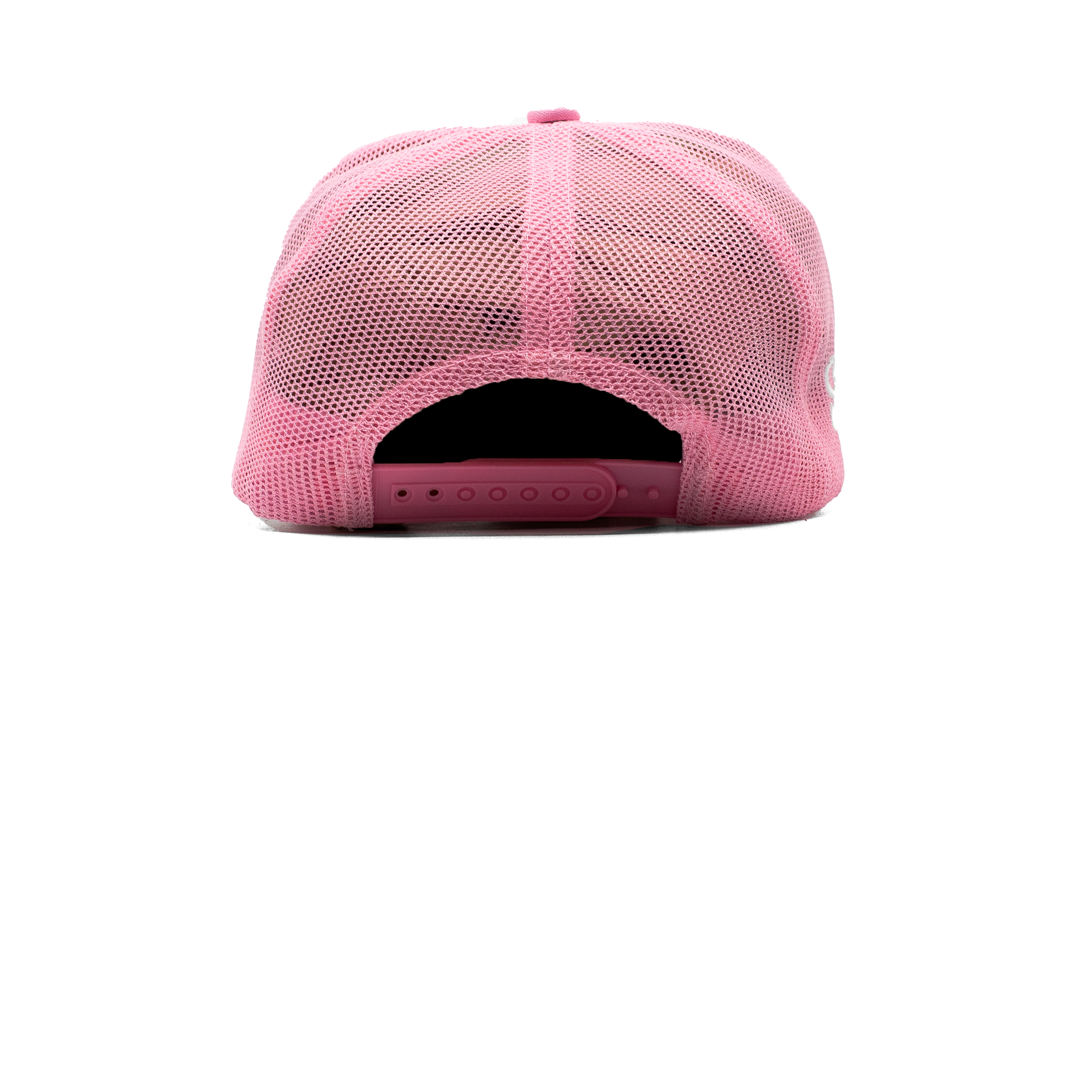 DRAKE ANITA MAX WYNN TRUCKER HAT PINK