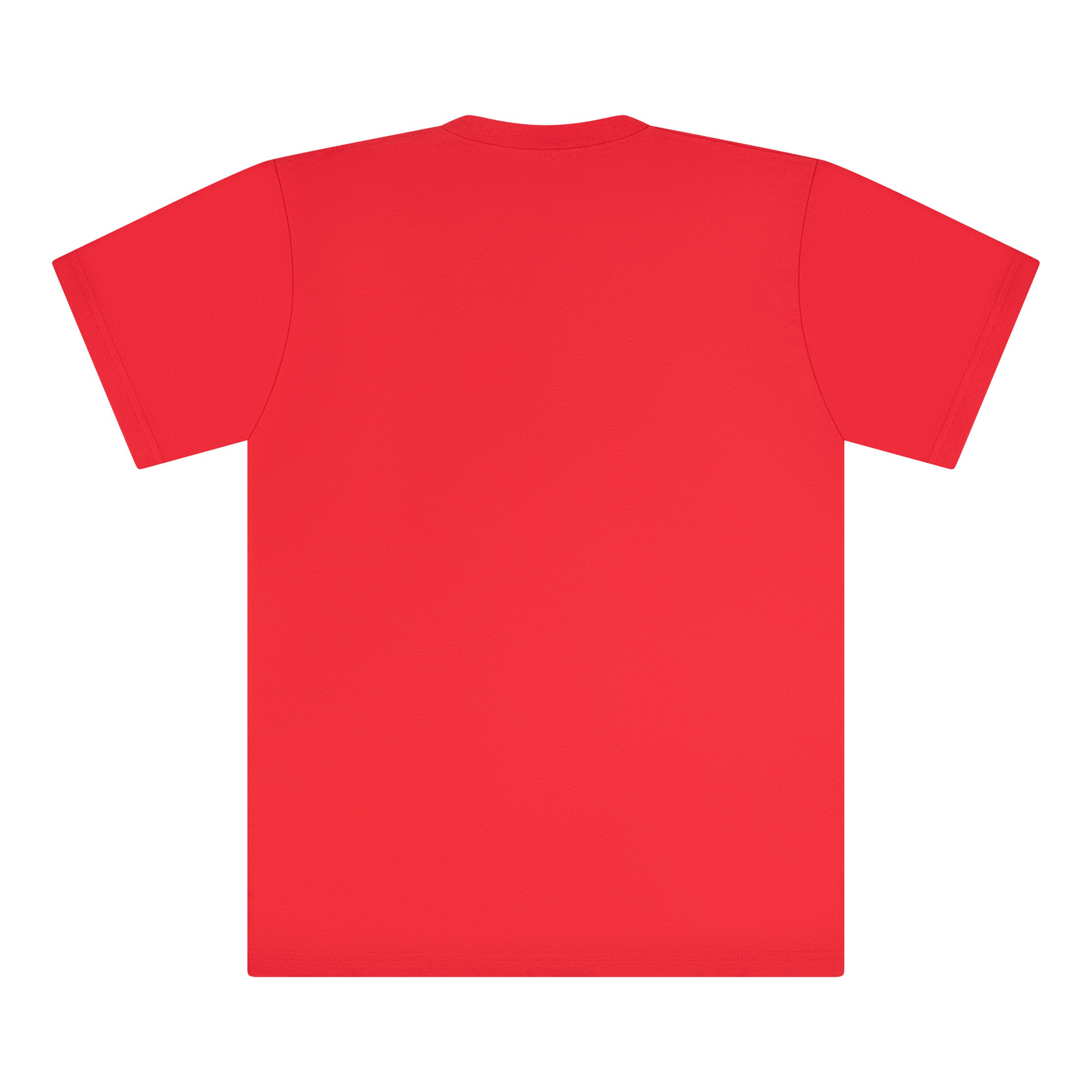 SUPREME BANDANA BOX LOGO TEE RED