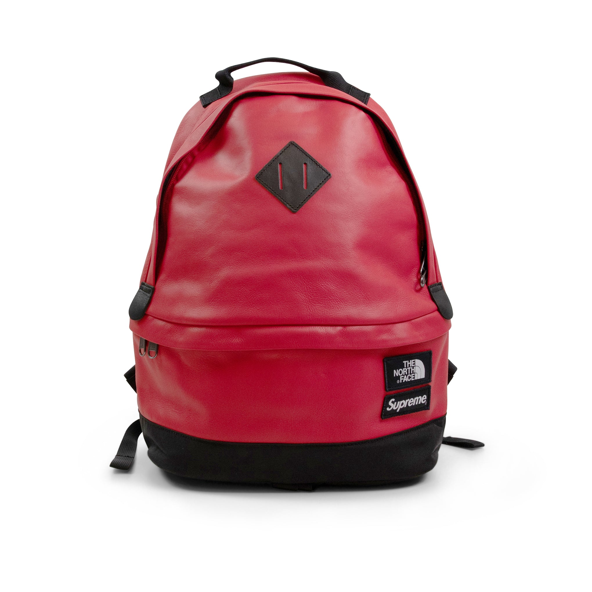 SUPREME THE NORTH FACE LEATHER DAY PACK